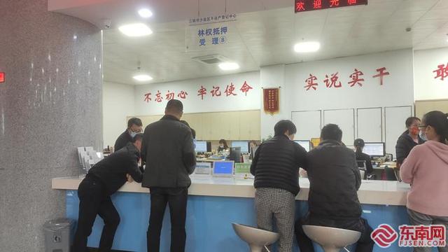 我的新生活｜魏发松：青山绿水家庭林场林改“变身”金山银山