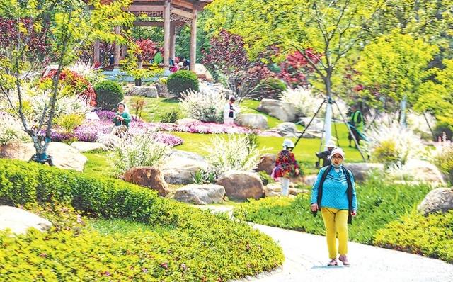 青岛：50万株乡土树种“回归”，公园城市“增绿”又“添彩”