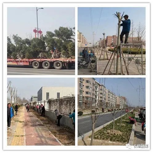 市城市管理局：推进绿化建设 提升城市“颜值”