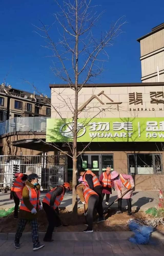 争分夺秒，全力冲刺，确保绿地景观优美良好