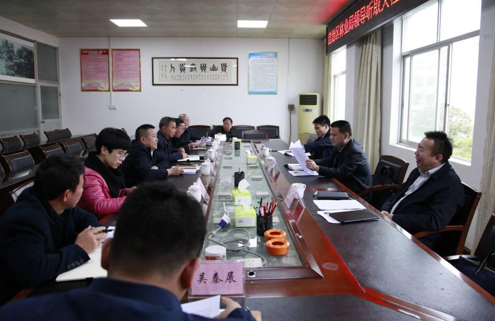黄政康到大桂山林场调研指导林业改革发展