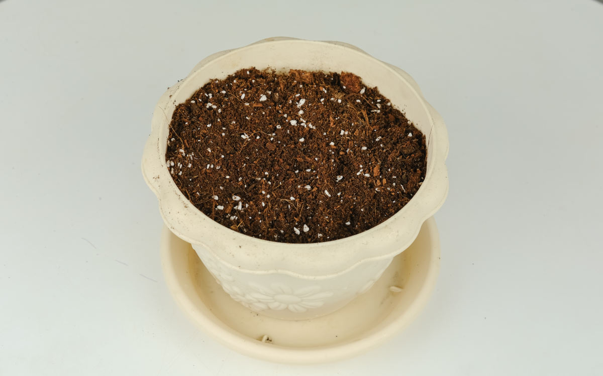 换下来的旧土别扔掉，拌上多菌灵灭菌，还能继续养花