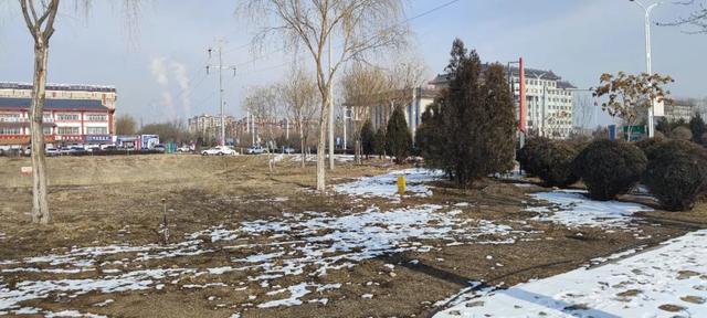 市自然资源局：早谋划、早部署全力推进2022年城区绿化项目建设