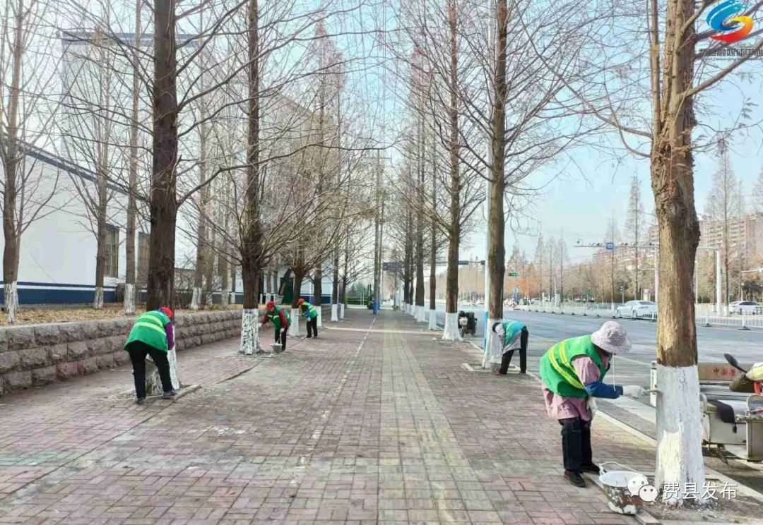 费县20万株绿化树木披“新装”