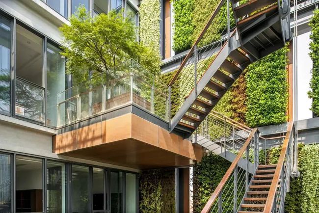 美翻了！醉氧了！长宁这家公司的办公楼竟有180多种植物！