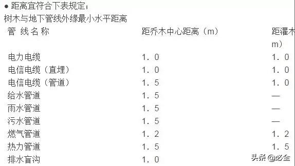  道路绿化干货要点