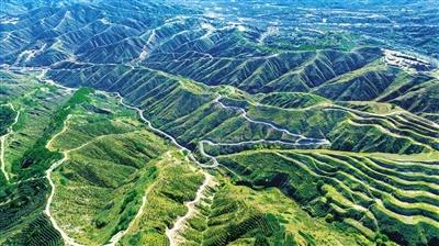 绿染并州织锦绣——科学绿化的太原实践