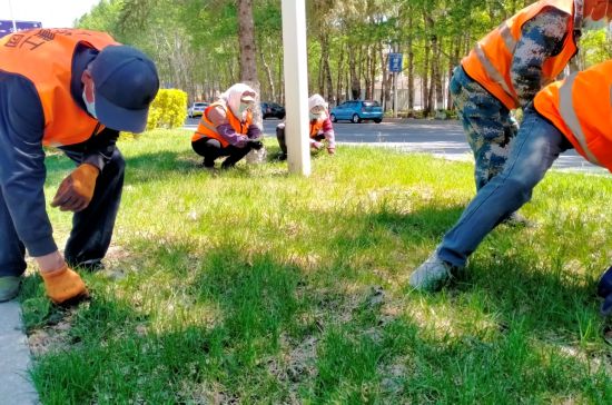 暖风吹奏“绿色旋律”——公主岭市城市管理行政执法局全面开展绿化养护工作