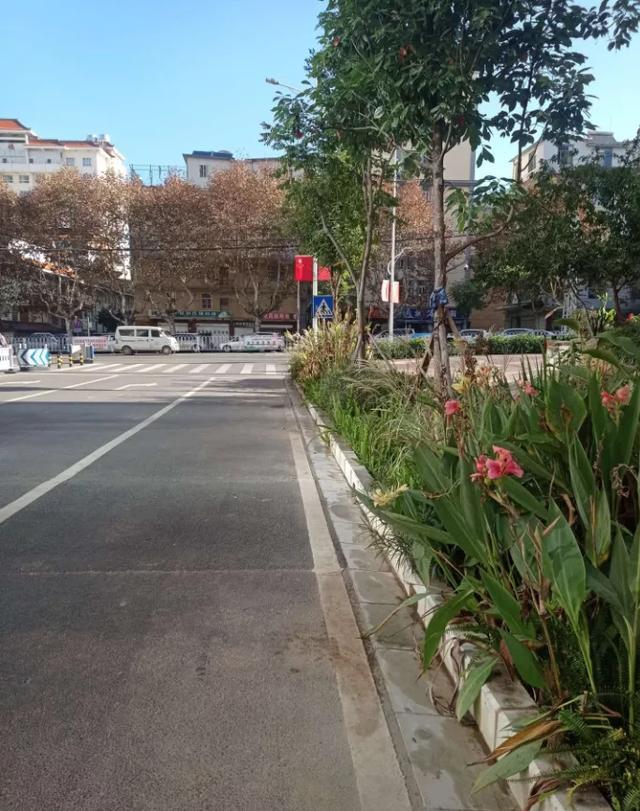 玉溪这条路华丽变身~网友大呼惊喜