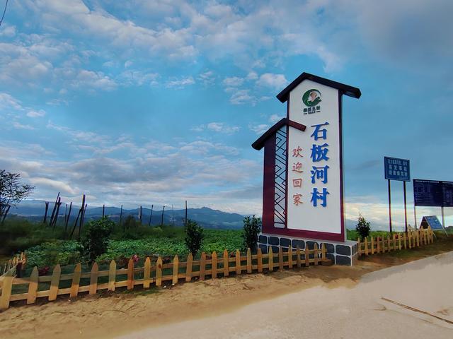  南华五街镇：村里来了特殊的“绿化队”