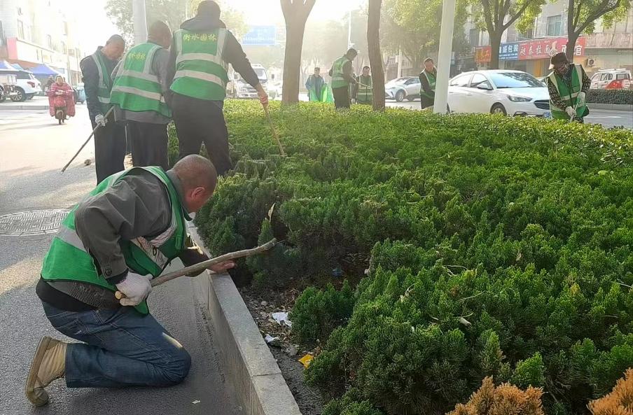衡水市园林中心：下足“绣花功夫” 让绿化带“靓”起来