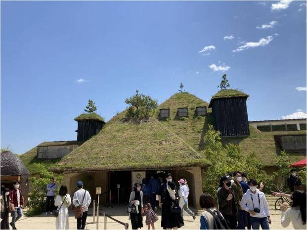薄层屋顶绿化进阶版：在屋顶种大树、开菜园！