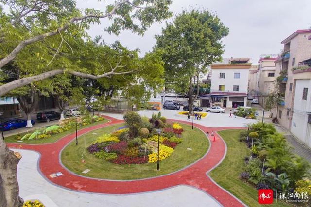 绿化带变小花园，顺德这些地方又变漂亮了丨新春走基层