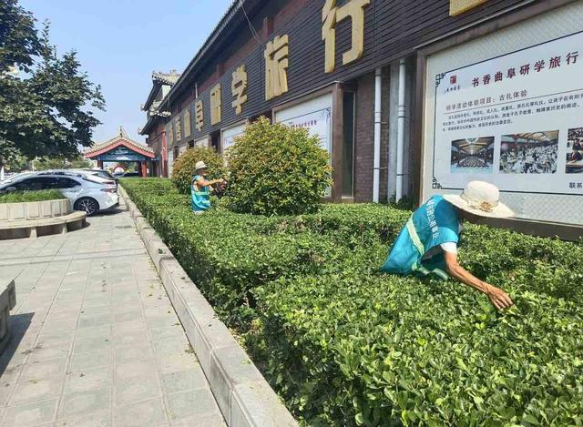 加强精细管理 提升园林绿化景观品质和绿化“颜值”