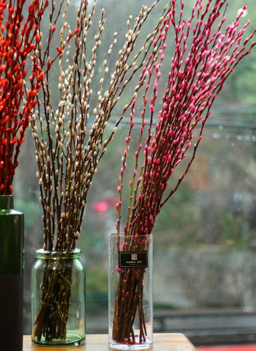 富贵竹和银柳都是春节期间大家养得比较多的两种观赏花卉,不仅观赏性