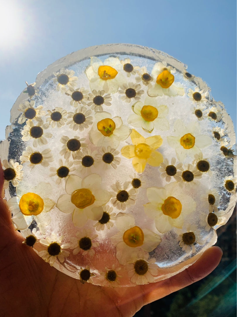 养花新玩法，一年四季有花赏，太有创意了