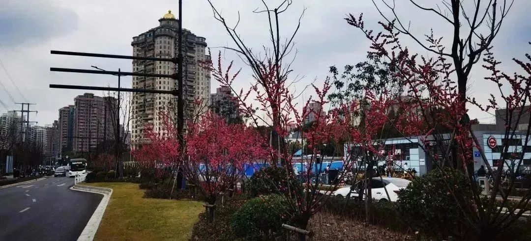 分享丨即将完工！一起坐上长宁这趟“公园列车”吧