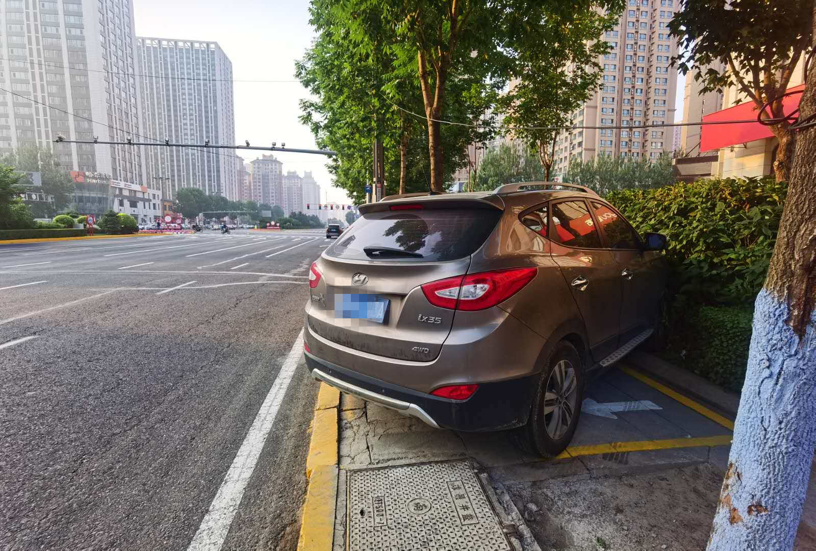 一头扎进绿化带、步道砖都被压坏，如此违停太任性