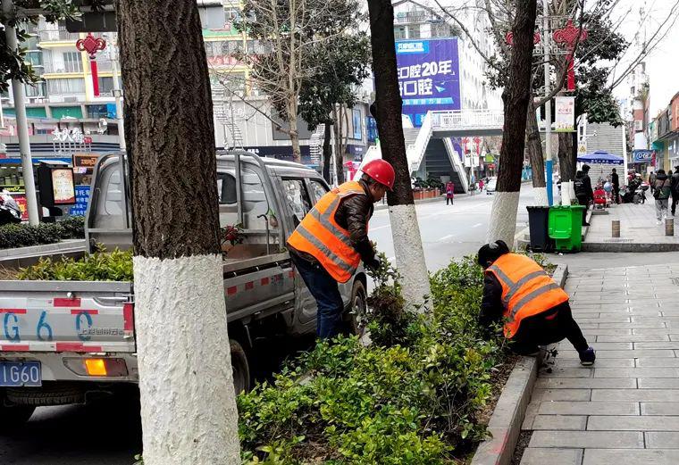 一年之计在于春，园林绿化管护忙