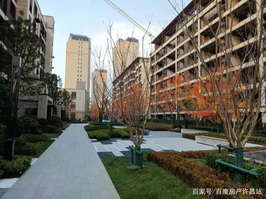 风华初见 大境盛启｜天明雅园实体景观示范区璀璨绽放！