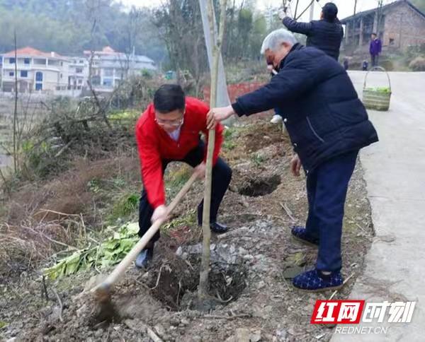 为了大地绿常在——记全国造林绿化先进集体隆回县林业局