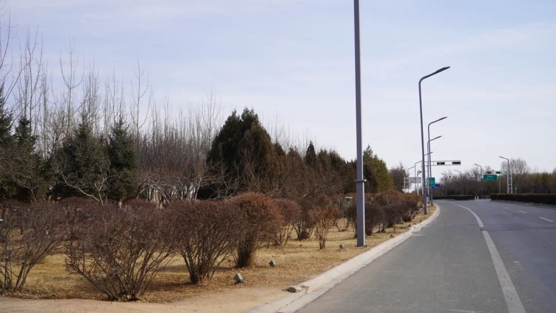 时不我待争春光！白银区道路绿化施工马力全开