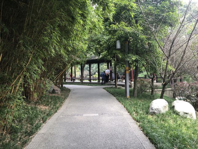 探访成都市浣花小区 老旧小区改造工程让城市变样