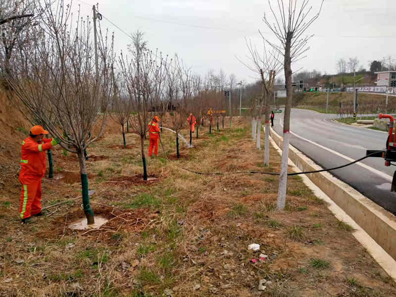 铜川农村公路全面完成绿化任务