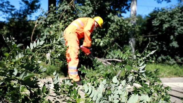 创城进行时｜密云加强绿化养护 提升道路“颜值”