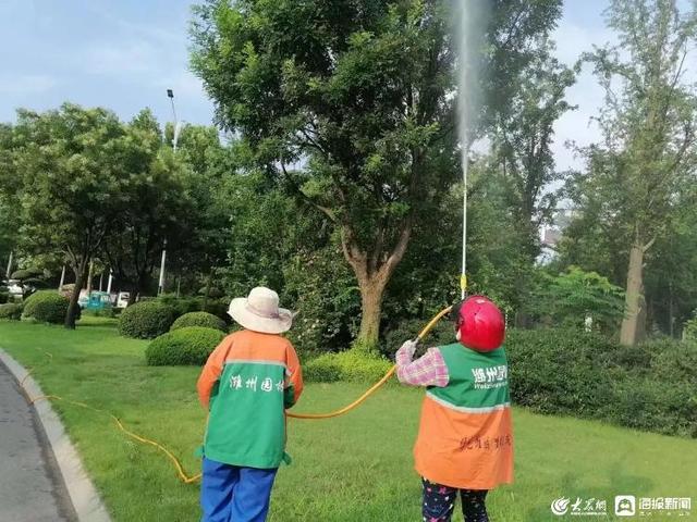 潍城区：加强园林精细化管理，提升园林绿化管理水平