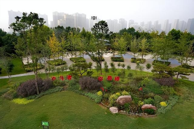 转角“花”正艳 “境”上又添彩——花境建设扮靓安阳“城市颜值”
