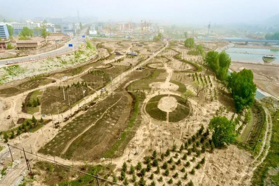 古浪：厚植生态底色 绿染苍松大地