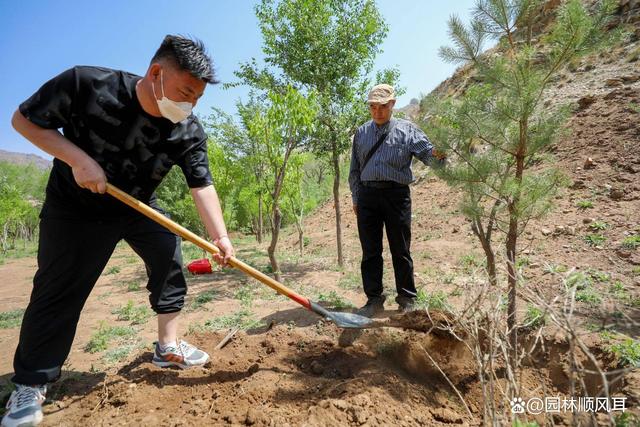 “退林还耕”3年：几家欢喜几家愁！荒山、荒坡成了抢手资源