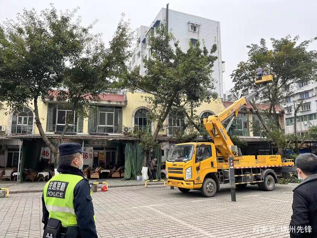 我为群众办实事：绿化作业剪枝危险存隐患巡逻三大队全力确保安全