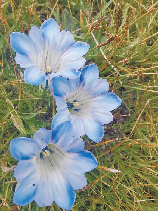 大美祁连山国家公园