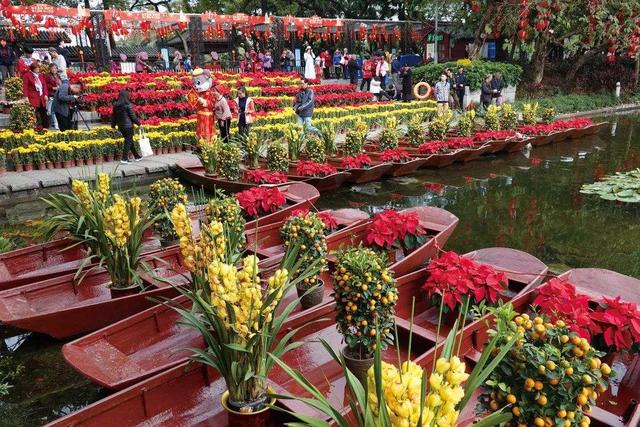 节后去花市“捡漏”，牢记“5买、5不买”，不花冤枉钱