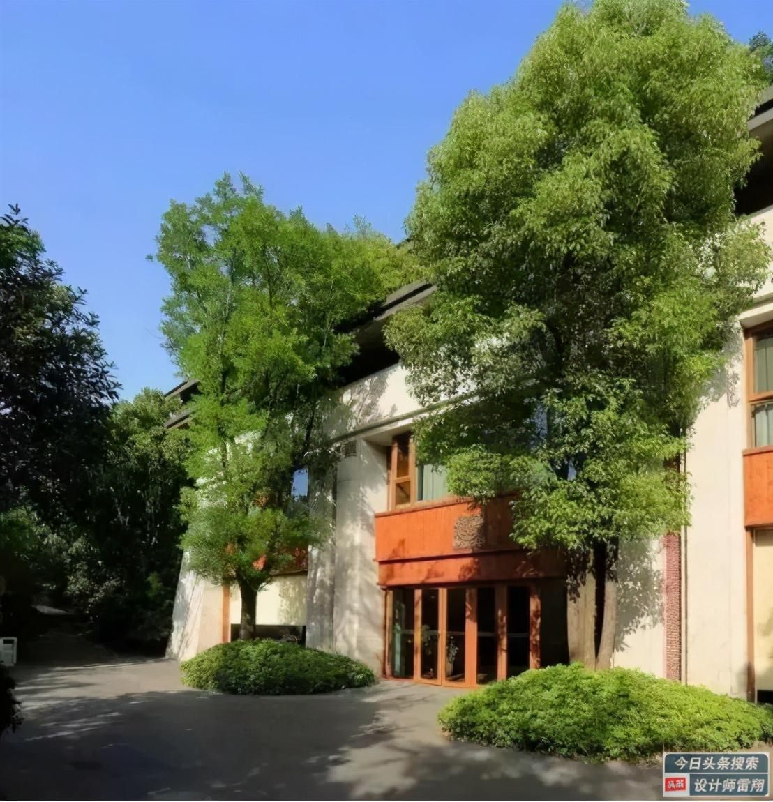 院子里有棵树不舍得砍掉怎么办？做成树池，不仅可以休息还能欣赏