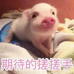 定了！本月底，芜湖又将新增一条高速！