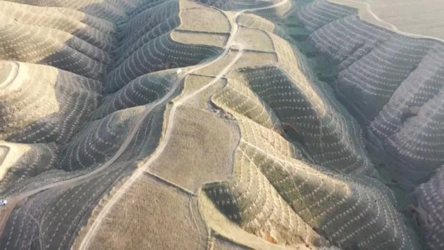 「十九届六中全会在基层」会宁：厚植绿色发展理念 打造绿色秀美山川