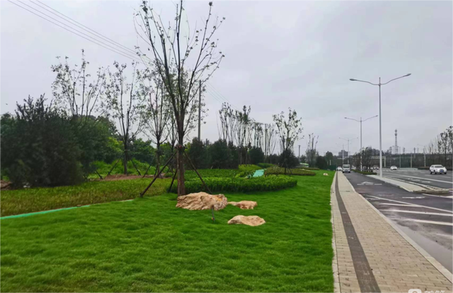 济南市历城区道路绿化品质和功能成果显著