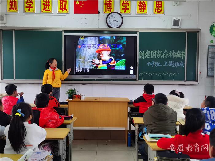 倡导生态文明理念歙县积极创建国家森林城市