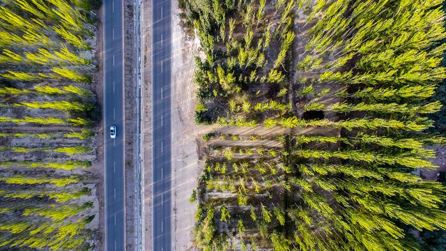 缔造“荒漠变绿”奇迹→按照中国方式