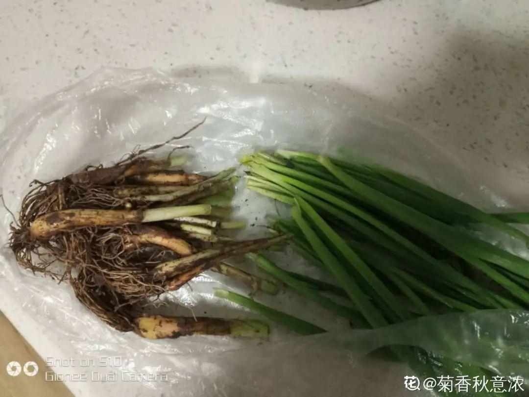 明年不种花了，弄个筐子种点菜，能省不少钱