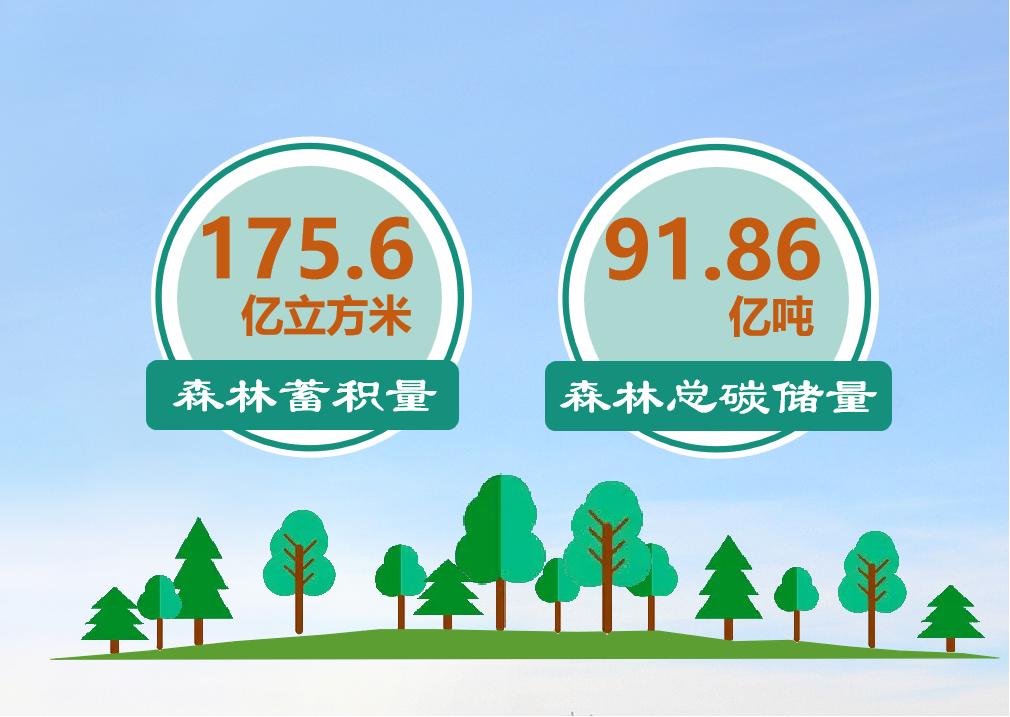 种树还能赚钱？一起来了解林业碳汇
