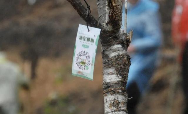 省市县三级联动开展义务植树活动暨诗画浙江大花园核心区国土绿化试点示范项目开工仪式在开化举办