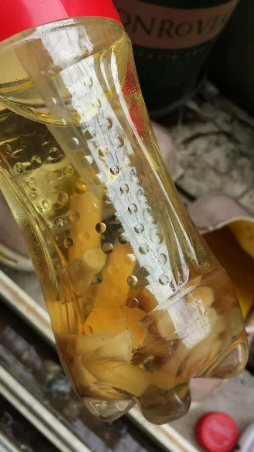 自制养花杀虫水，10天浇一勺，不生虫不得病，长得太旺！