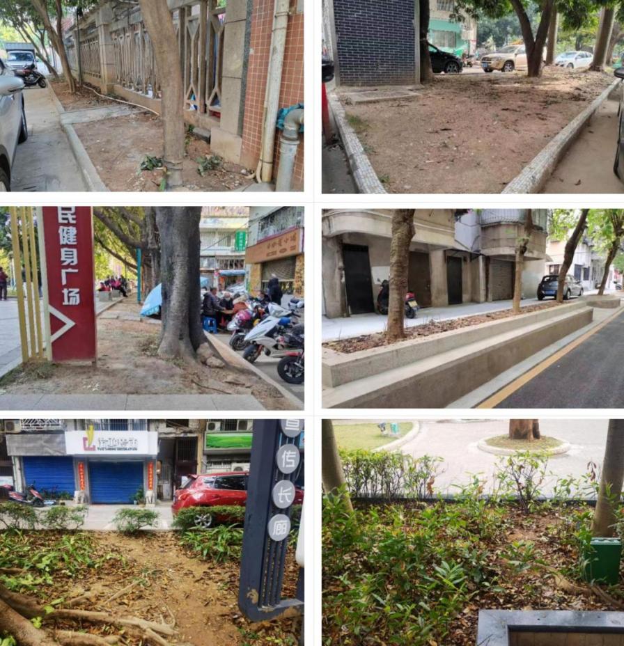 奏响绿化养护“春之声”，擦亮文明城市幸福底色