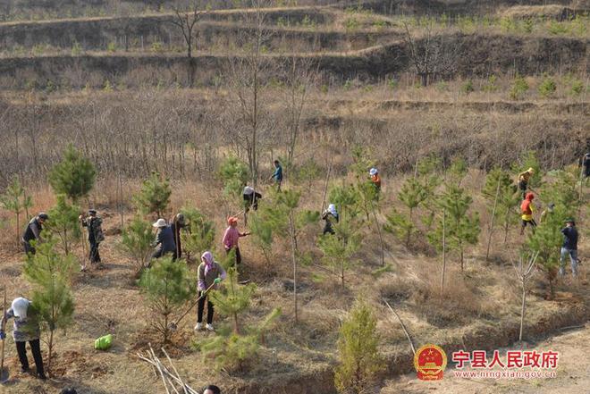 宁县2022年春季国土绿化造林工作陆续启动
