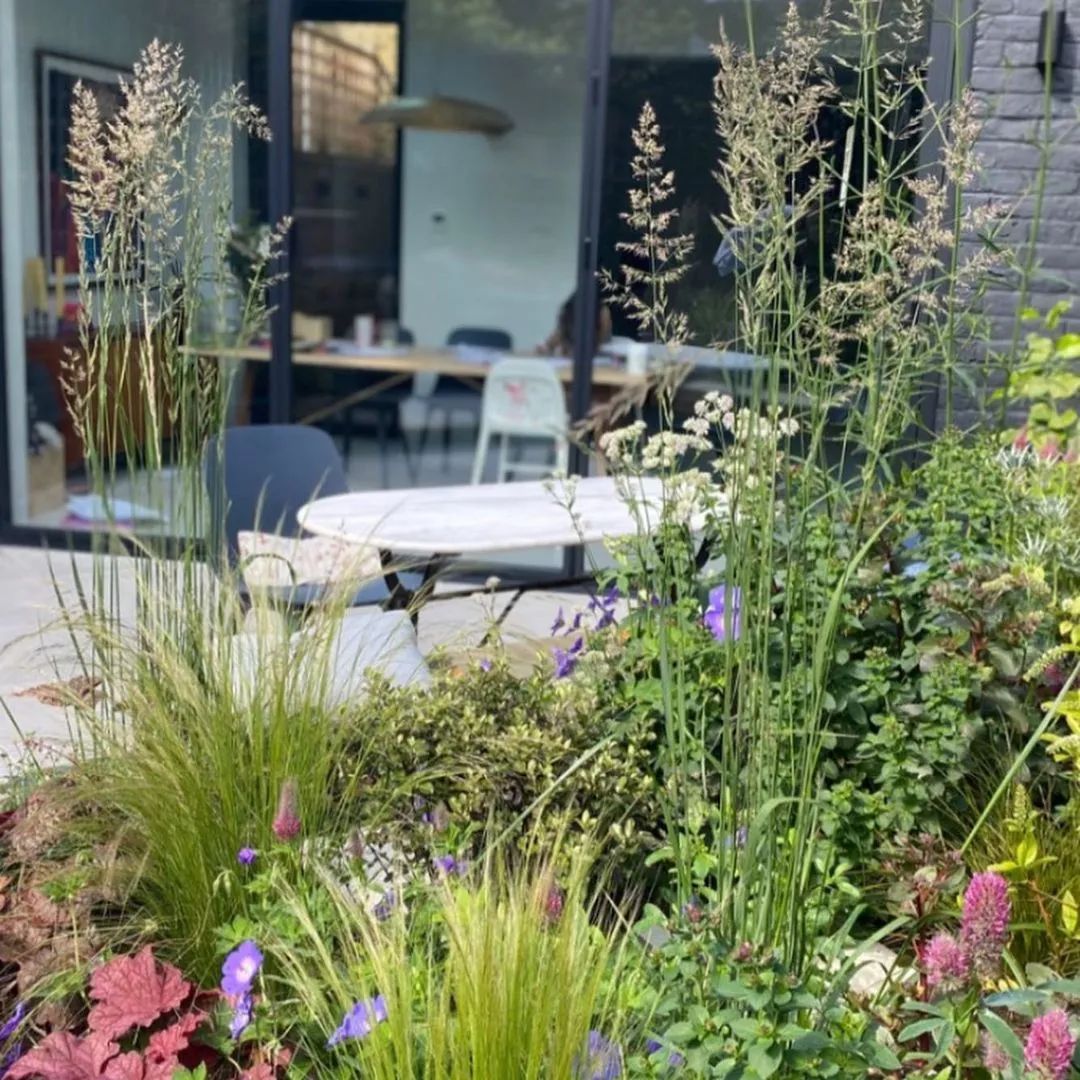 生活主题花园——远离城市的喧嚣,品一杯清茶,闲坐一下午 生活主题花园——远离城市的喧嚣,品一杯清茶,闲坐一下午