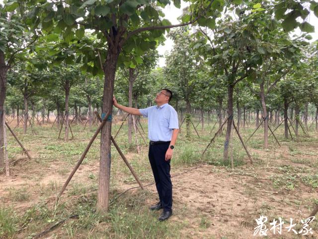 栽活15万株，80余种树木！遭遇重创后，这家林场涅槃重生